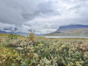 Arktische Tundra mit niedrigem Buschbewuchs, See und wolkenverhangenen Bergen
